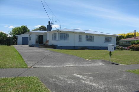 Photo of property in 19 Haggitt Street, Feilding, 4702