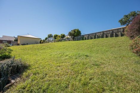 Photo of property in 8 Saint Leonard Place, Richmond, 7020