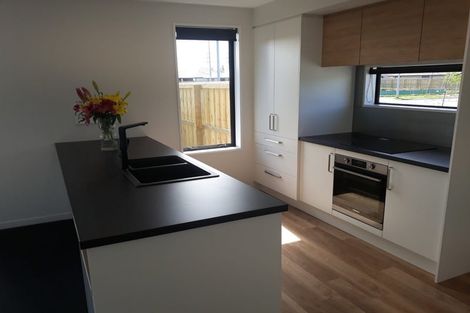 Photo of property in 90 Sir John Mckenzie Avenue, Yaldhurst, Christchurch, 8042