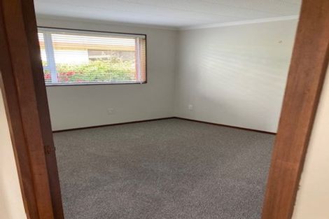 Photo of property in 20 Albert Street, Saint Clair, Dunedin, 9012