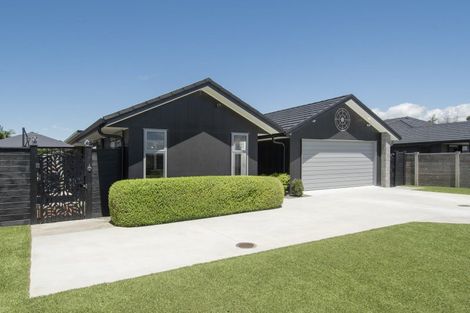 Photo of property in 11 Augusta Rise, Omokoroa, 3114