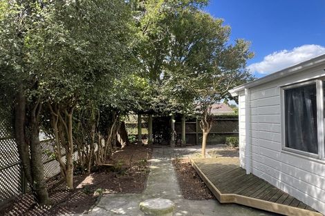 Photo of property in 41 Bellmont Avenue, Chartwell, Hamilton, 3210