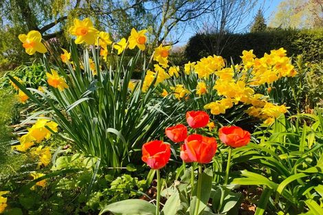 Photo of property in 86b Beach Street, Waikouaiti, 9510
