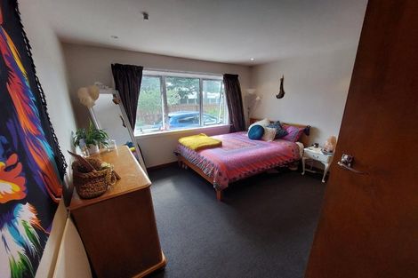 Photo of property in 163 Buchanans Road, Hei Hei, Christchurch, 8042