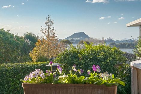 Photo of property in 13 Hairini Street, Hairini, Tauranga, 3112