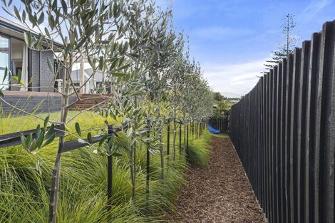 Photo of property in 6 Pataki Place, Omokoroa, 3114