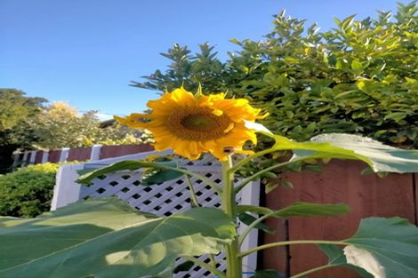 Photo of property in 4/43 Alexandra Street, Richmond, Christchurch, 8013