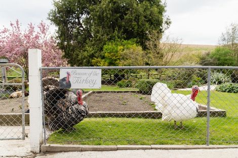 Photo of property in 108 Limeworks Road, Circle Hill, Milton, 9291