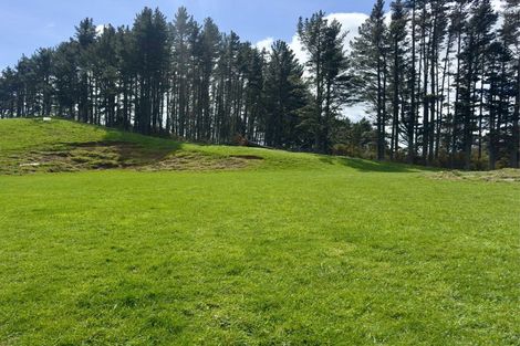 Photo of property in 717 Wright Road, Aongatete, 3181