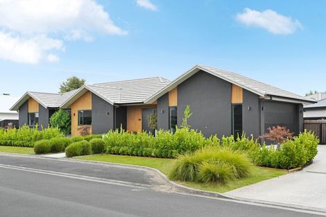 Photo of property in 15 Kereruu Street, Cambridge, 3434