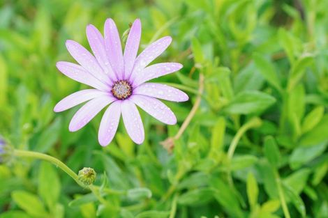 Photo of property in 214 Main Street, Otautau, 9610