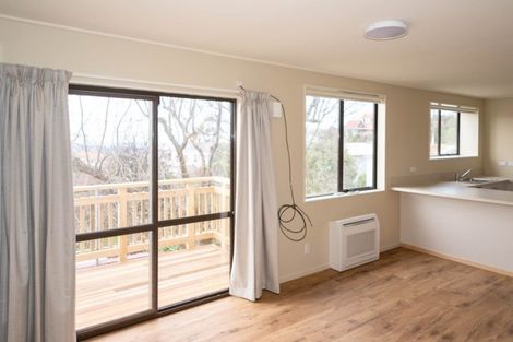 Photo of property in 44 Argyle Street, Mornington, Dunedin, 9011