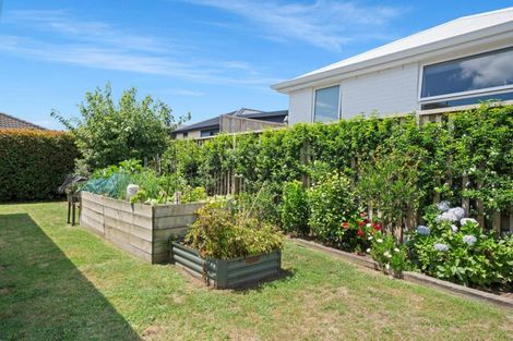 Photo of property in 20 Primrose Place, Papamoa Beach, Papamoa, 3118