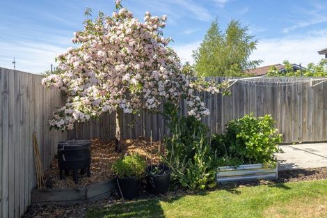 Photo of property in 119a George Street, Tinwald, Ashburton, 7700