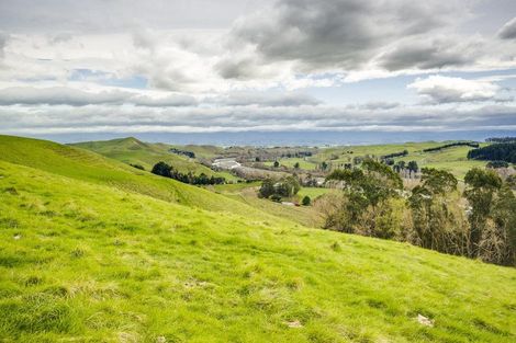 Photo of property in 210 Ongaonga Road, Waipawa, 4272