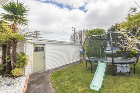 Photo of property in 62 Webster Avenue, Mount Roskill, Auckland, 1041