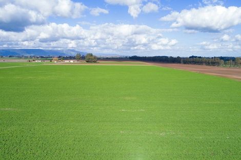 Photo of property in 1310 Alexandra Road, Waharoa, 3474