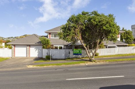 Photo of property in 44 Joseph Banks Drive, Whitby, Porirua, 5024