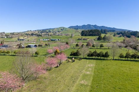 Photo of property in 101 Ormsby Road, Pirongia, Te Awamutu, 3876