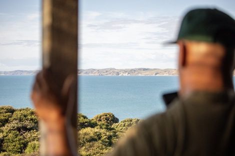 Photo of property in 37 Whaanga Road, Raglan, 3297