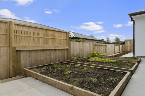 Photo of property in 45c Western Avenue, Omokoroa, 3114