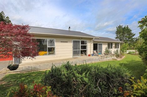 Photo of property in 1025 Hetherington Road, Ruawaro, Huntly, 3772