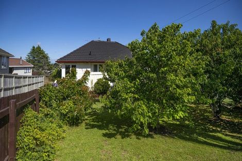 Photo of property in 32 Roseman Avenue, Mount Roskill, Auckland, 1041