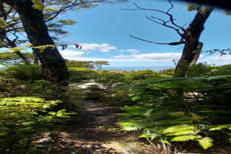 Photo of property in 525a Tuateawa Road, Tuateawa, Coromandel, 3583