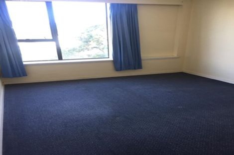 Photo of property in Hobson Court Flats, 25/70 Hobson Street, Thorndon, Wellington, 6011
