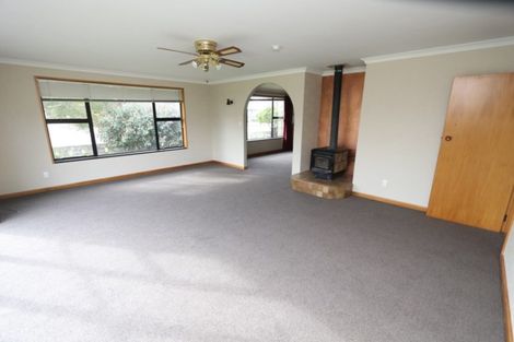 Photo of property in 29 Patton Street, Methven, 7730
