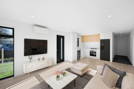 Photo of property in 17 Fend Street, Chartwell, Hamilton, 3210