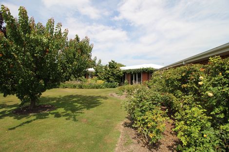 Photo of property in 36 Ventry Street, Alexandra, 9320