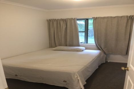 Photo of property in 97 Polo Prince Drive, Totara Park, Manurewa, 2576