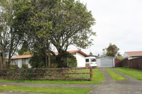 Photo of property in 33 Kowhai Street, Inglewood, 4330