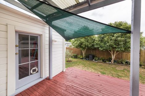 Photo of property in 39 Manson Street, Terrace End, Palmerston North, 4410