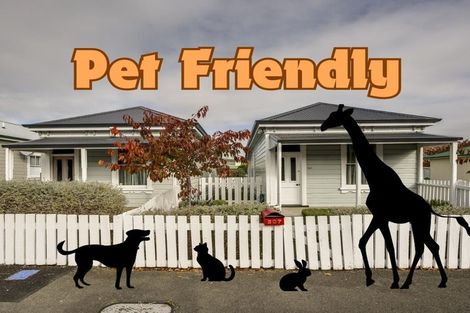 Photo of property in 307 Southampton Street East, Hastings, 4122