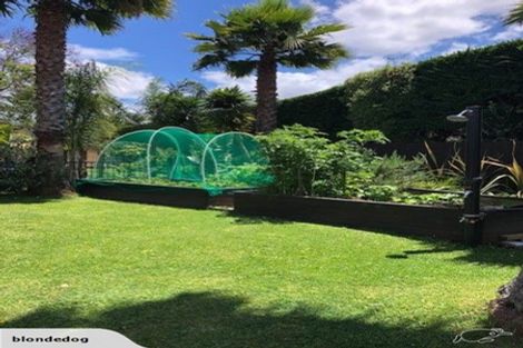 Photo of property in 4 School House Lane, Whitianga, 3510