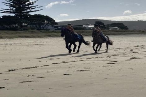 Photo of property in 387 Wentworth Valley Road, Whangamata, 3691