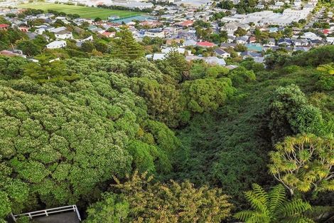 Photo of property in 75 Camperdown Road, Miramar, Wellington, 6022