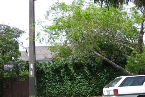 Photo of property in 56 Kitenui Avenue, Mount Albert, Auckland, 1025