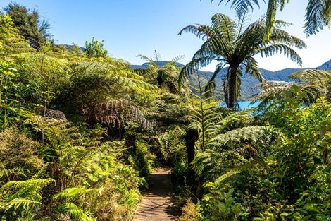 Photo of property in 143 Akerbloms Road, Punga Cove, Marlborough Sounds, 7282