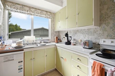 Photo of property in 60a Alison Street, Hamilton Lake, Hamilton, 3204