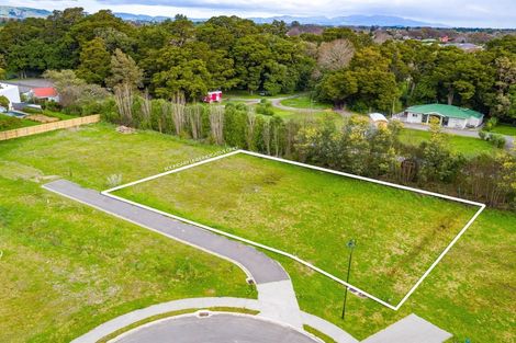 Photo of property in 45 Orchard Road, Greytown, 5712