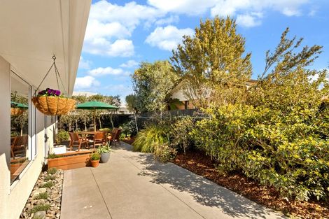 Photo of property in 1/135 Edinburgh Street, Spreydon, Christchurch, 8024