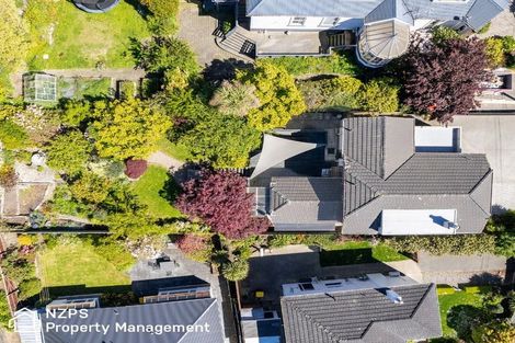 Photo of property in 17 Napier Street, Belleknowes, Dunedin, 9011