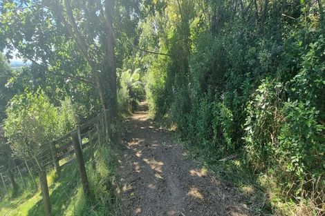 Photo of property in 143 Wallace Loop Road, Koputaroa, Shannon, 5571