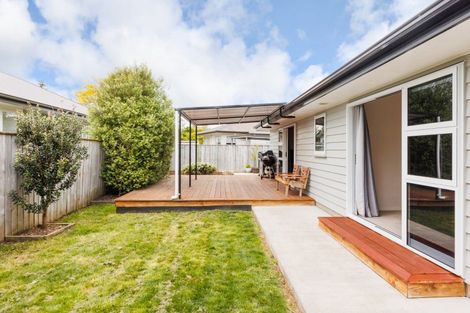 Photo of property in 44a Pharazyn Street, Feilding, 4702