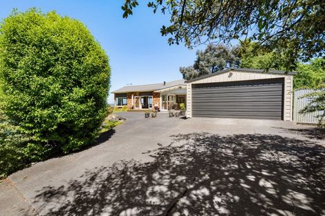 Photo of property in 15 Terrace Road, Bay View, Napier, 4104