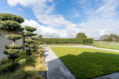 Photo of property in 826 Piako Road, Gordonton, Hamilton, 3281