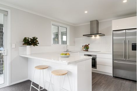 Photo of property in 47 Mcmaster Street, Greytown, 5712